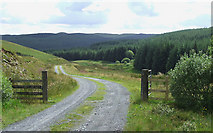 SN7253 : Forestry Road  north of Llether, Ceredigion by Roger  D Kidd