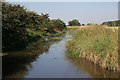 Drain at Tunnel Pits farm