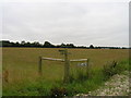 Footpath signpost near Trust Farm