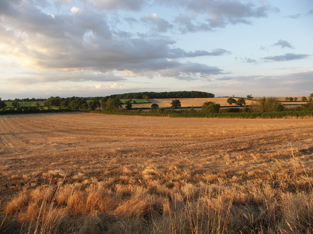 Naseby Battle Field © Richard Williams :: Geograph Britain and Ireland