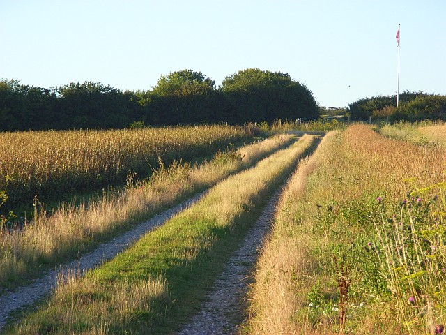 Track on Easton Down