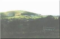 ST8719 : Melbury Hill – viewed from the border by Chris Downer