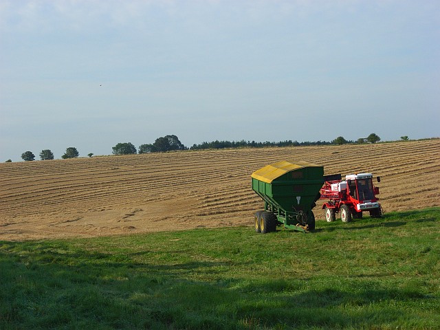 Harvested farmland, Idmiston