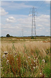 TA0003 : Pylons by David Wright