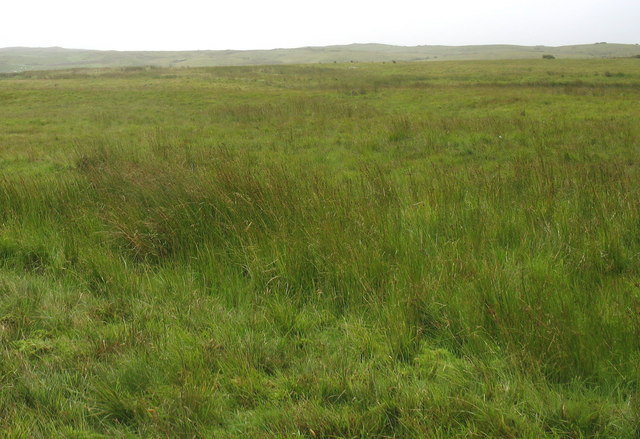 Waterlogged moorland