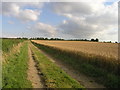 Track and wheat field