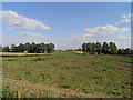 Setting out markers along route of future Kempston Bypass