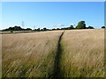 Park House Farm - Viewed Across Fields