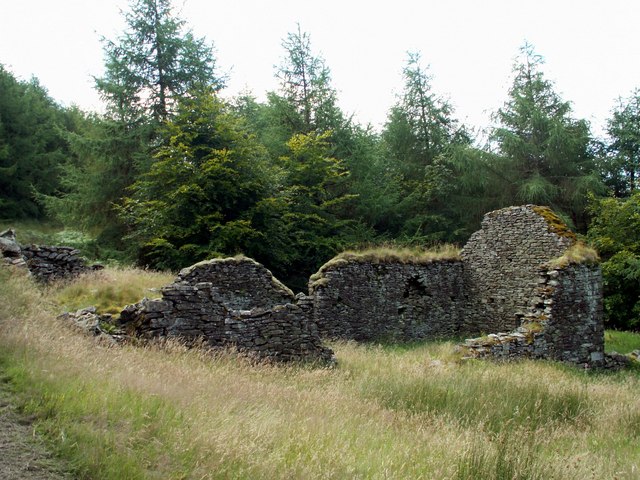 Ruins of Blaen Fflur Farm House