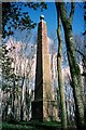 SY8096 : Milborne St. Andrew: Weatherby Castle obelisk by Chris Downer