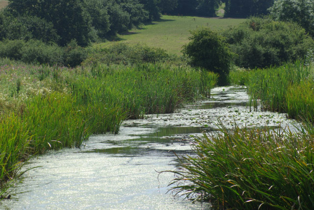 Nottingham Canal, Cossall © Stephen McKay :: Geograph Britain and Ireland