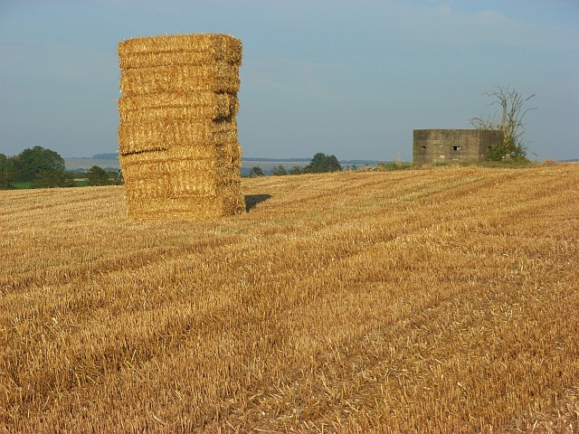 Bales and pillbox, Great Durnford