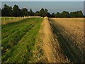 Farmland, Great Durnford