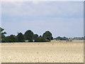 Wheatfield and Outbuildings at Rosehill Farm