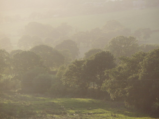 Gwili View