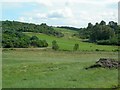 Farmland View