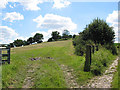 Lower slopes of Eastnor Hill