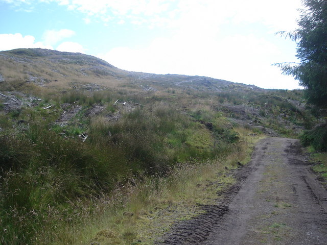 Forest track beside clear felled hillside northwest of the Oude reservoir