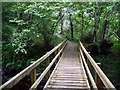 Bridge and boardwalk on the River Ayr Way