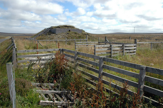 Sheep pens and wartime bunker