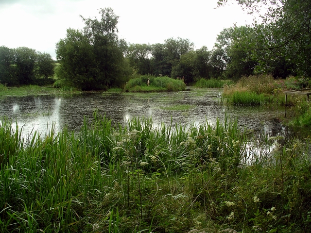 The pond, Eskrigg nature reserve