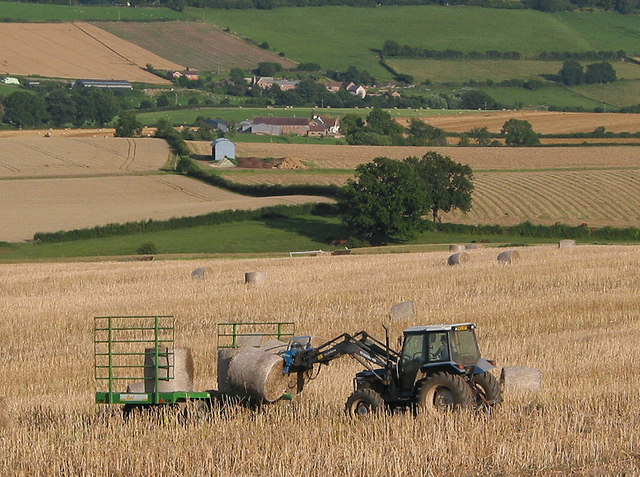 Rounding up the bales