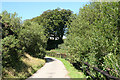 Exmoor: lane to kennels