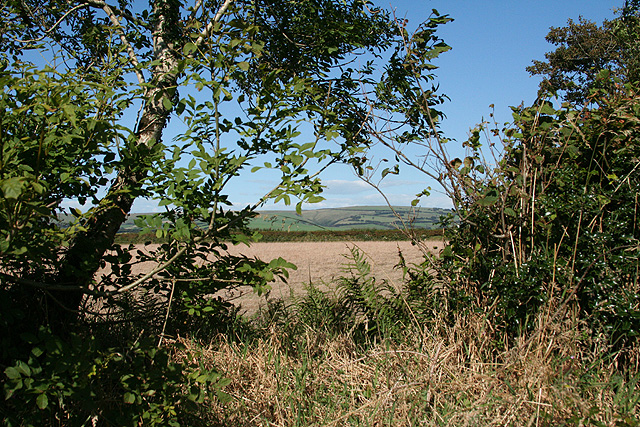 Charles: over a hedge