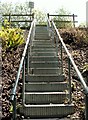 Steps to the pedestrian railway crossing from Silkston Fall Woods