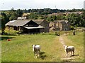 Bank House Farm Silkstone