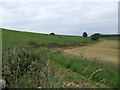 Track below Castleward Hill, East Denoon