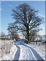 Track to Greenwell Farm