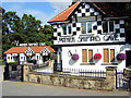 Knaresborough - Mother Shipton