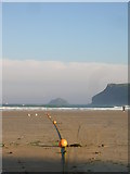 SW9379 : Polzeath Beach by William Bartlett