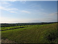 Farmland south of Bratton Seymour