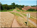 Footpath and farm track