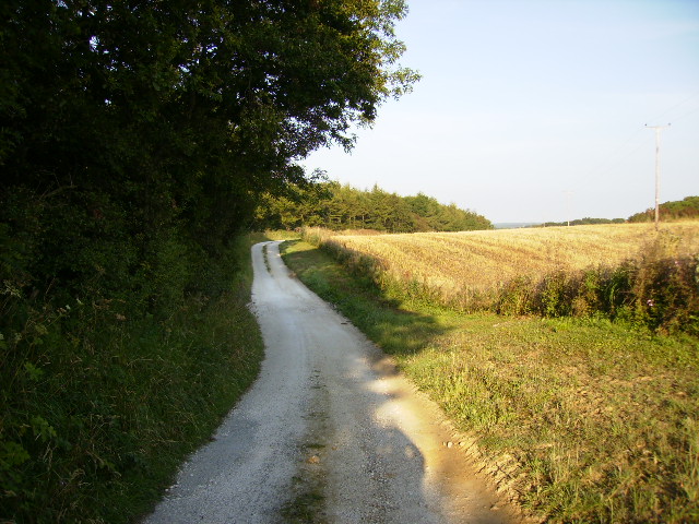 Track on East Ayton Moor