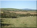 View towards Mynydd Preseli