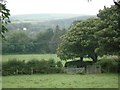 View across the Cleddau valley to Barris Hill