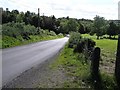 Road at Lissan