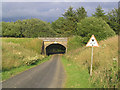 Railway bridge at Steele Road