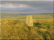 NY5699 : The triangulation pillar on Saughtree Fell by Walter Baxter
