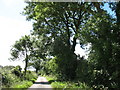 Country road approaching Dyffryn