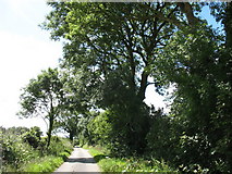 SH5075 : Country road approaching Dyffryn by Eric Jones