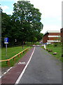 Cycle Path and Service Road, University of Sussex