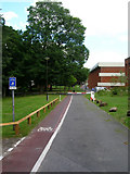 TQ3408 : Cycle Path and Service Road, University of Sussex by Simon Carey