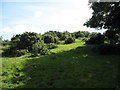 Part of the earthworks on the boss above Tan y Graig Farmhouse