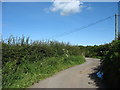 A sharp bend on the Pentraeth road