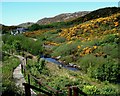 Farm path Scourie