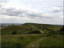 SP9516 : Ivinghoe Beacon from Steps Hill by David Sands